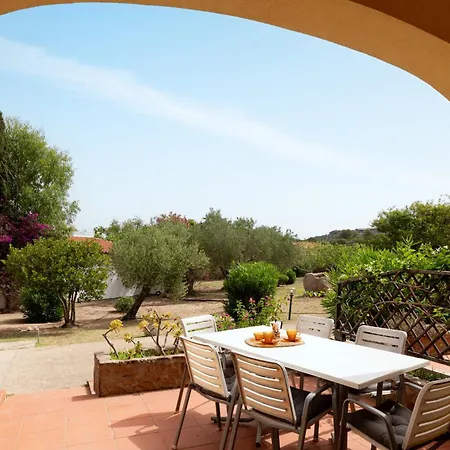 Summer Bunte Olbia
