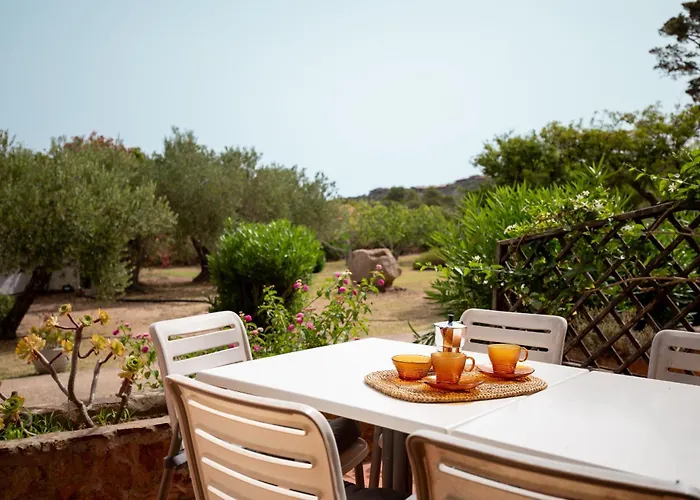 Summer Bunte * Olbia