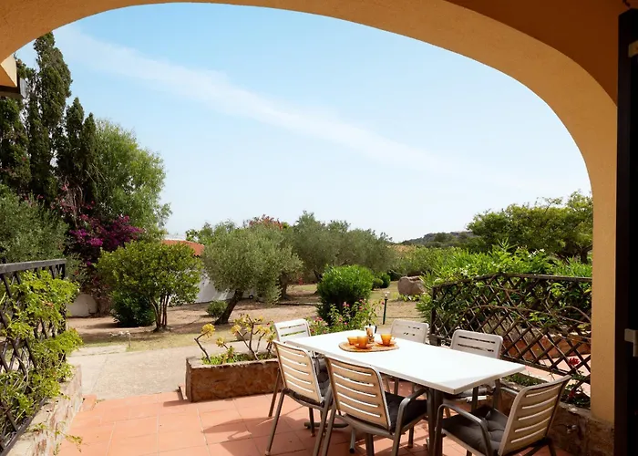 Summer Bunte Ольбія